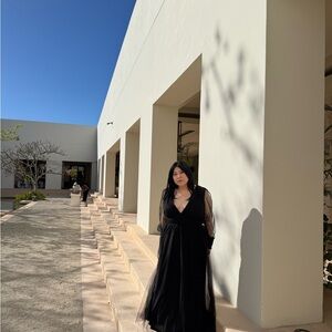 Baltic Born Black Sheer Sleeve Maxi Dress